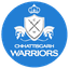 Chhattisgarh Warriors Flag